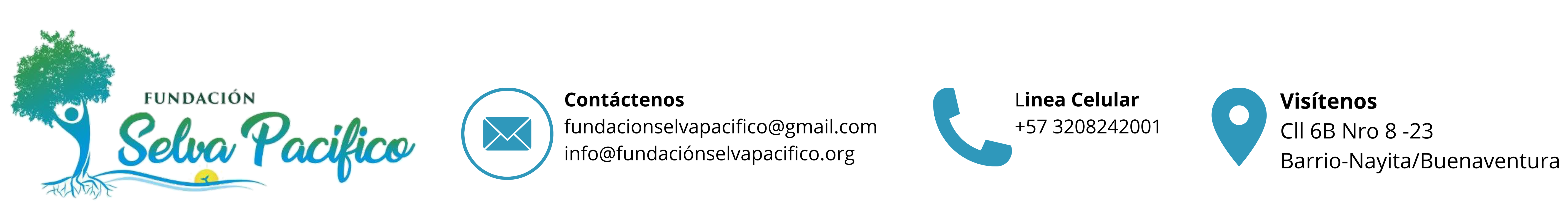 fundacionselvapacifico.org